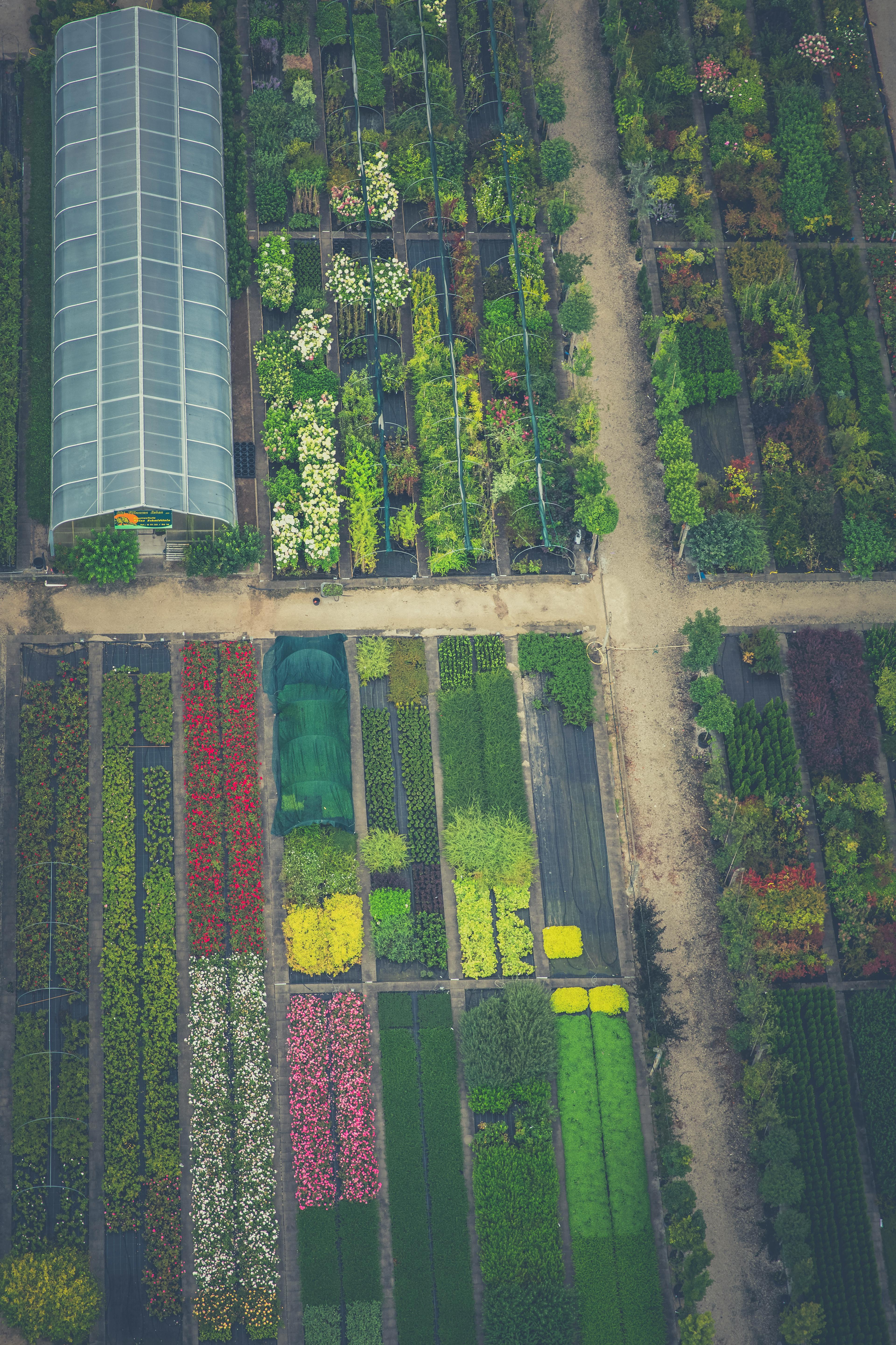 Ein schön geplanter Garten mit verschiedenen Pflanzen und Anordnungen